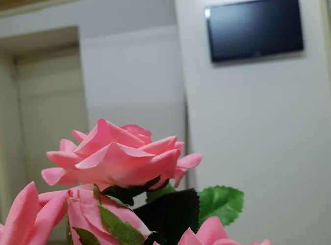 Casa Basile 15 住宿加早餐酒店 那不勒斯